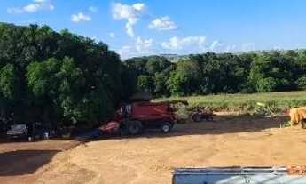 Imagem 3: Fazenda Arrendamento 1.400hec plantando, + 6.600 pra abrir aos poucos em torixoreu MT