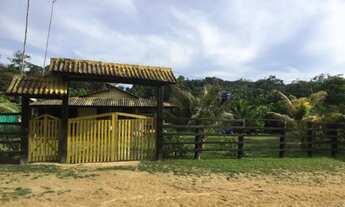 Imagem 2: Vendo Sitio na AM 010 km100