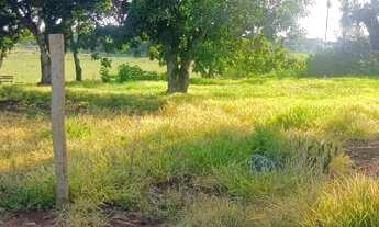 Imagem 2: Chácara com 4.800 metros na Bica do DER- Planaltina-DF