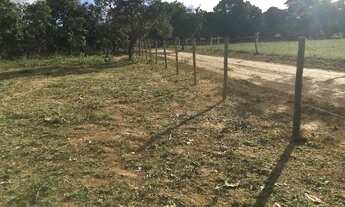 Imagem 3: Chácaras de 5.000 m2, Planas, Cerca tratada, em Taboquinha a 30 klm de Braslandia