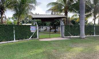 Imagem 2: Chácara pé de cedro