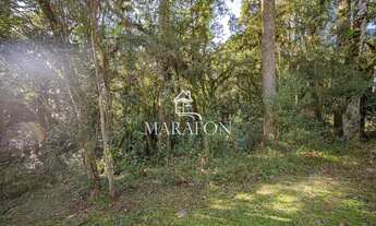 Imagem 6: TERRENO À VENDA EM CANELA NO CONDOMÍNIO PINHEIRO GROSSO!