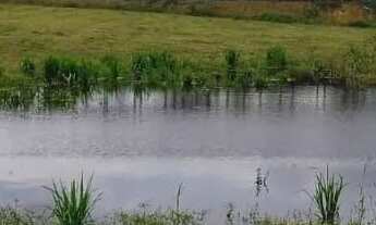 Imagem 5: Fazenda 2.500 X 2.600 na AM 010 km 164 9.000.000