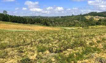 Imagem 4: OPORTUNIDADE ÚNICA: TERRENOS À VENDA NO INTERIOR DE SÃO PAULO