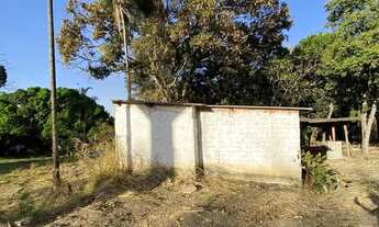 Imagem 6: Chácara a venda / 5.000,000 M2 / Arvores Frutíferas / Córrego / Aparecida de Goiânia