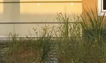 Imagem 2: PASSO CHAVE CIDADE JARDIM | CASA EM CONDOMÍNIO FECHADO Construtora quitada