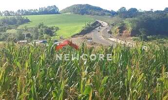 Imagem 2: Chácara em Santa Lúcia - Centro - Santa Lúcia/PR