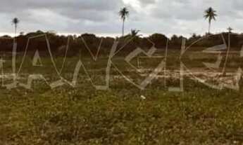 Imagem 4: Terreno 7.500m² - GAMELEIRA - ARACAJU - SE