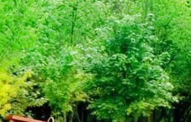 Imagem 7: Nature Residence - Lançamento de Coberturas Duplex em Petrópolis no Bairro Retiro