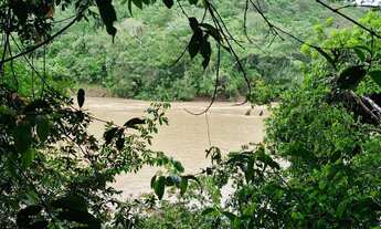 Imagem: Fazenda com 64 Alqueires (309,76 hectares)