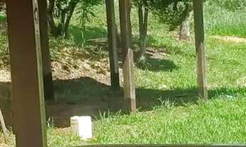 Imagem 5: Casas ,café mecanizados