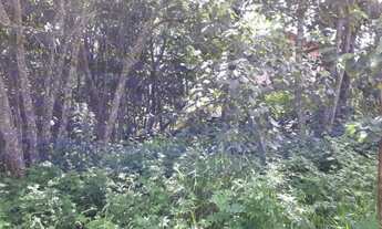 Imagem 4: Lote em condomínio em Rua Doutor Altair Martins - Granja Viana - Cotia/SP