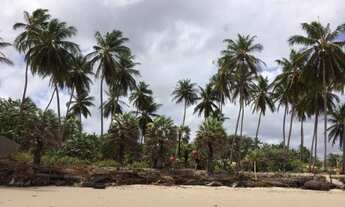 Imagem 3: Terreno na Praia de Santa Clara- H. de Campos