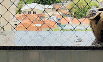 Imagem 5: ((( Milton Machado ))))) - mansao