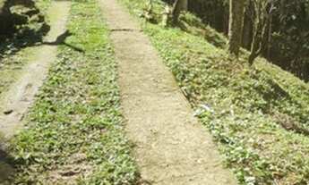 Imagem: Excelente Sitio Rua 8 Agro Brasil aceito