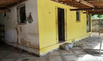 Imagem 5: Excelente terreno com 27 fruteiras mais casa