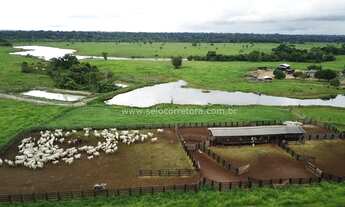 Imagem 3: Excelente Fazenda no Muni. de Alta Floresta-MT