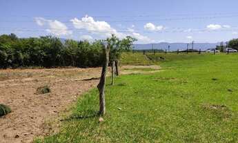 Imagem 3: Terreno 26.000m2 (2.6 hectares) na RS239