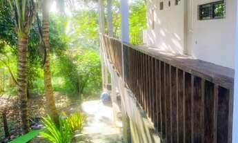 Imagem 3: Chacara vendo ou alugo