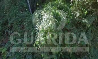 Imagem 5: Terreno para comprar no bairro Ponta Grossa - Porto Alegre