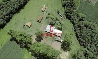 Imagem 7: Fazenda com 1 dormitório à venda, 12380000 m² por R$ 39.000.000,00 - Zona Rural - Pimenta