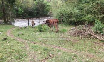 Imagem 6: Terreno para comprar no bairro Centro - Itati