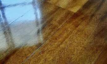 Imagem 2: Apartamento 55 m², 2 dormitórios, 1 suíte - Sacada