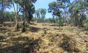 Imagem 2: Chacrinha de 500 e 1000m2 IBIUNA - Campo Verde - Ibiúna - SP
