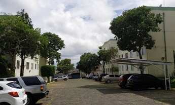 Imagem 3: Apartamento para venda- Residencial Raul Pinheiro Machado