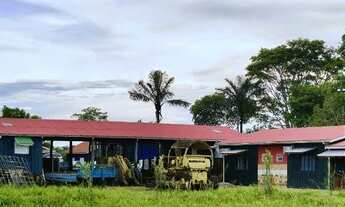 Imagem 7: Fazenda à 27km de Porto Velho - BR 319 - 773 hectares