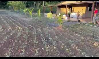 Imagem 2: Posse 13.8 hectares Incra 7 aceit- casa em Vicente Pires ou arniqueiras