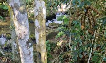 Imagem 6: Venda de terreno sul de mg