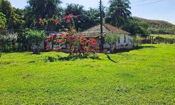 Imagem 2: Linda Fazenda em Bandeirantes Ms!