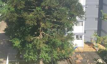 Imagem 2: Apartamento em Partenon