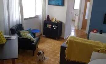 Imagem 2: Apartamento com 2 dormitórios à venda, 50 m² por R$ 260.000,00 - Jardim Maristela - São Pa