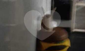 Imagem 3: Casa térrea -tremembe