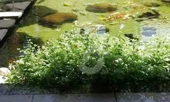 Imagem 6: Casa com 3 dormitórios à venda, 300 m² por R$ 500.000,00 - Laranjal - São Gonçalo/RJ