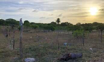 Imagem 3: Lote na lagoa de dentro