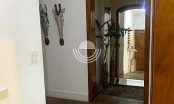 Imagem 5: Apartamento - Jardim Proença - Campinas