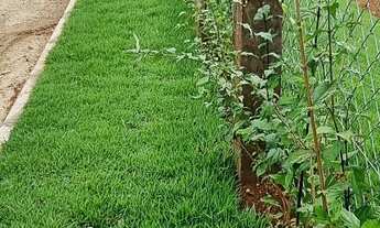 Imagem 4: Chácara 2.500m2 com registro em condomínio fechado, com lago e água corrente 100% limpa!