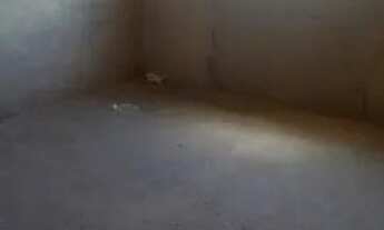 Imagem 6: Vendo Casa Casa com 2 dormitórios