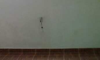 Imagem 3: Alugo casa 600.00 1quarto/sala no engenho novo