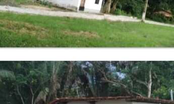 Imagem: Vendo sítio em Santa Rita MA