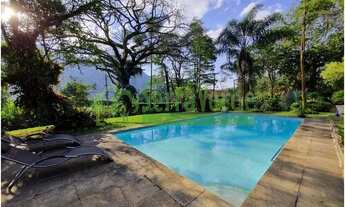 Imagem: SAMAMBAIA (BEIRA DA RUA PRINCIPAL, LOCAÇÃO