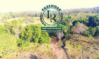 Imagem 6: Fazenda / Chácara 07 alqueires, ou seja 34 hectares