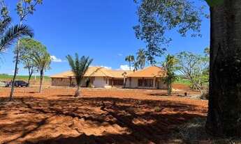 Imagem 7: Fazenda de 479 alq em Ipameri-GO