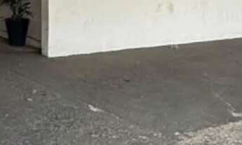 Imagem 5: IMOVEL COMERCIAL NA AVENIDA W-5 AD32817