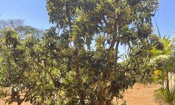 Imagem 6: Vende-se um sítio - ? Aceito carro como parte do pagamento