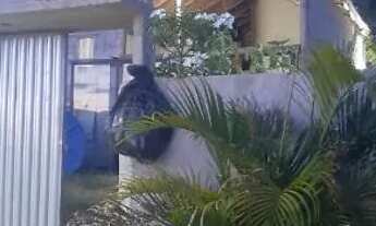 Imagem: Chale híbrido em obra