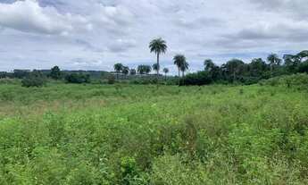 Imagem 2: Fazenda 150ha, com 3km de beira de rio, nascente no terreno, terra de cultivo, Lagoa Santa